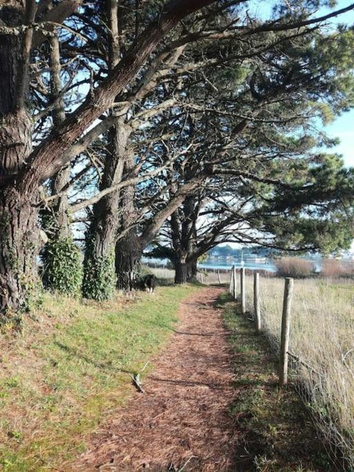 Chalet Cosy, Plages A Pieds. Morbihan. 플루이넥 외부 사진